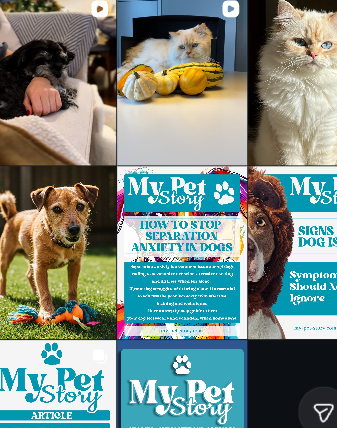 Social Media Content Creation my pet story